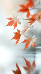 Wall Mural - Autumn maple leaves background, fall backdrop	