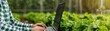 © AucArtStudio - farmer using laptop computer in greenhouse - agricultural technology and modern farming practices concept.