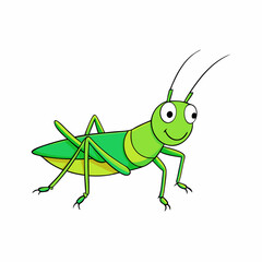 Wall Mural - Cute color cricket insect  art vector