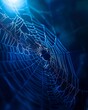 © VISUAL BACKGROUND - A spider sits in the center of a spider web