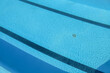 © Bookaroo68 - swimming pool with blue water, close up of swimming pool.