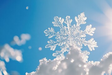 Canvas Print - Snowflake in Snow