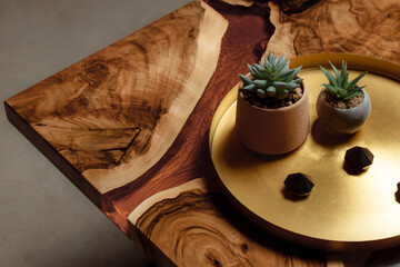 Wall Mural - Expensive vintage furniture. The table is covered with epoxy resin and varnished. A gold epoxy river in a round tree slab. Small cacti in concrete pots on copper spacing. 