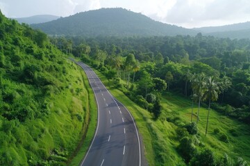 Poster - A scenic road with dense tree cover on either side, perfect for landscape photography or travel stock images