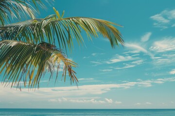 Poster - A person sits comfortably under the shade of a palm tree, enjoying the serene atmosphere