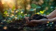 © Рудой Максим - A person nurturing a young plant while enjoying nature in soft evening sunlight