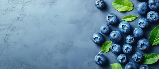 Poster - Perfectly ripe freshly picked local blueberries Close up copyspace for text top view background Healthy vegan snacks rich in antioxidants Seasonal summer berries