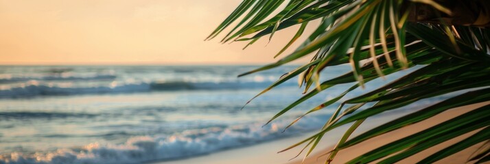 The coconut tree leaves with background with sea waves on the beach for mockup background. Tropical sea beach template and palm leaf on seaside