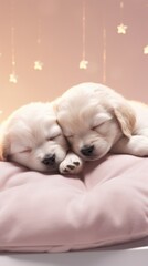 Canvas Print - Cute 2 Ppug dog sleeping animal canine.