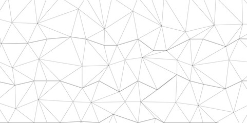 Wall Mural - Abstract connection on white background. Network technology background with lines for desktop. creative and geometric shape with gray luxury pattern and paper texture and geometric shape. 