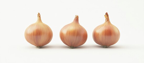 Leinwandbilder - Three onions set against a white background. with copy space image. Place for adding text or design