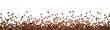 © john - Panoramic coffee beans border isolated on white background with copy space