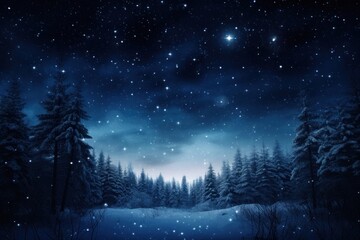 Canvas Print - Winter night snow landscape.