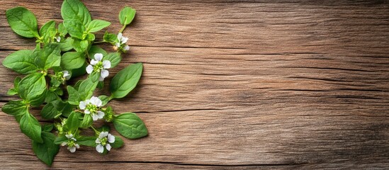 Aufkleber - fresh oregano blossoms leaves on aged wooden table close up. with copy space image. Place for adding text or design