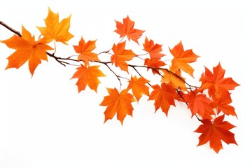 Wall Mural - vibrant autumn leaves on branch