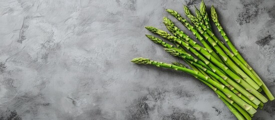 Leinwandbilder - Fresh green raw asparagus on a concrete surface A top view of a bunch of fresh asparagus on a gray concrete background. with copy space image. Place for adding text or design