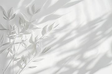 Wall Mural - minimalistic white background with a barely-there, soft shadow of a leaf pattern