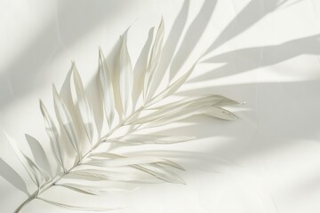 Wall Mural - minimalistic white background with a barely-there, soft shadow of a leaf pattern