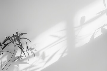 Wall Mural - minimalistic white background with a hint of a soft shadow in the lower corner