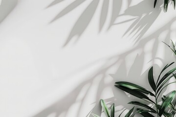 Wall Mural - minimalistic white background with a hint of a soft shadow in the lower corner