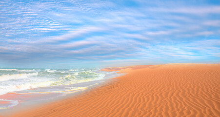 Wall Mural - Namib desert with Atlantic ocean meets near Skeleton coast-Namibia, South Africa