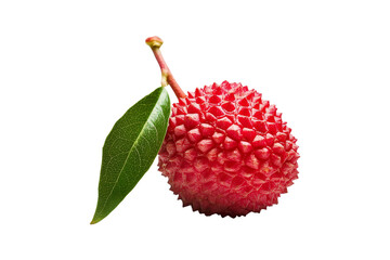 Single Lychee Fruit with Green Leaf Isolated