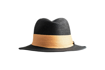 Wall Mural - Black and Tan Straw Hat