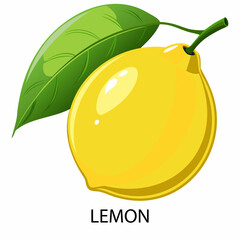 Lemon in cartoon style on a white background. Vector illustration.