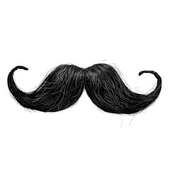 moustaches styles with white backgrounds.