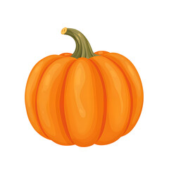 Wall Mural - Pumpkin icon. Vector. Autumn Halloween or Thanksgiving pumpkin symbol. Flat design. Orange squash silhouette isolated on white background. Cartoon colorful illustration.