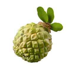 custard apple fruit isolated on a transparent background.