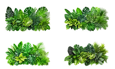 Wall Mural - A vibrant arrangement of various tropical leaves showcasing a spectrum of green shades and textures ideal for decoration or design inspiration