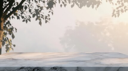 Wall Mural - Marble Table with Tree Shadow