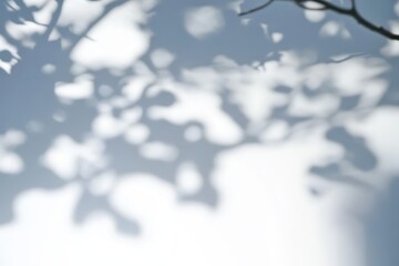 Wall Mural - Abstract Shadow Play of Leaves on a Wall