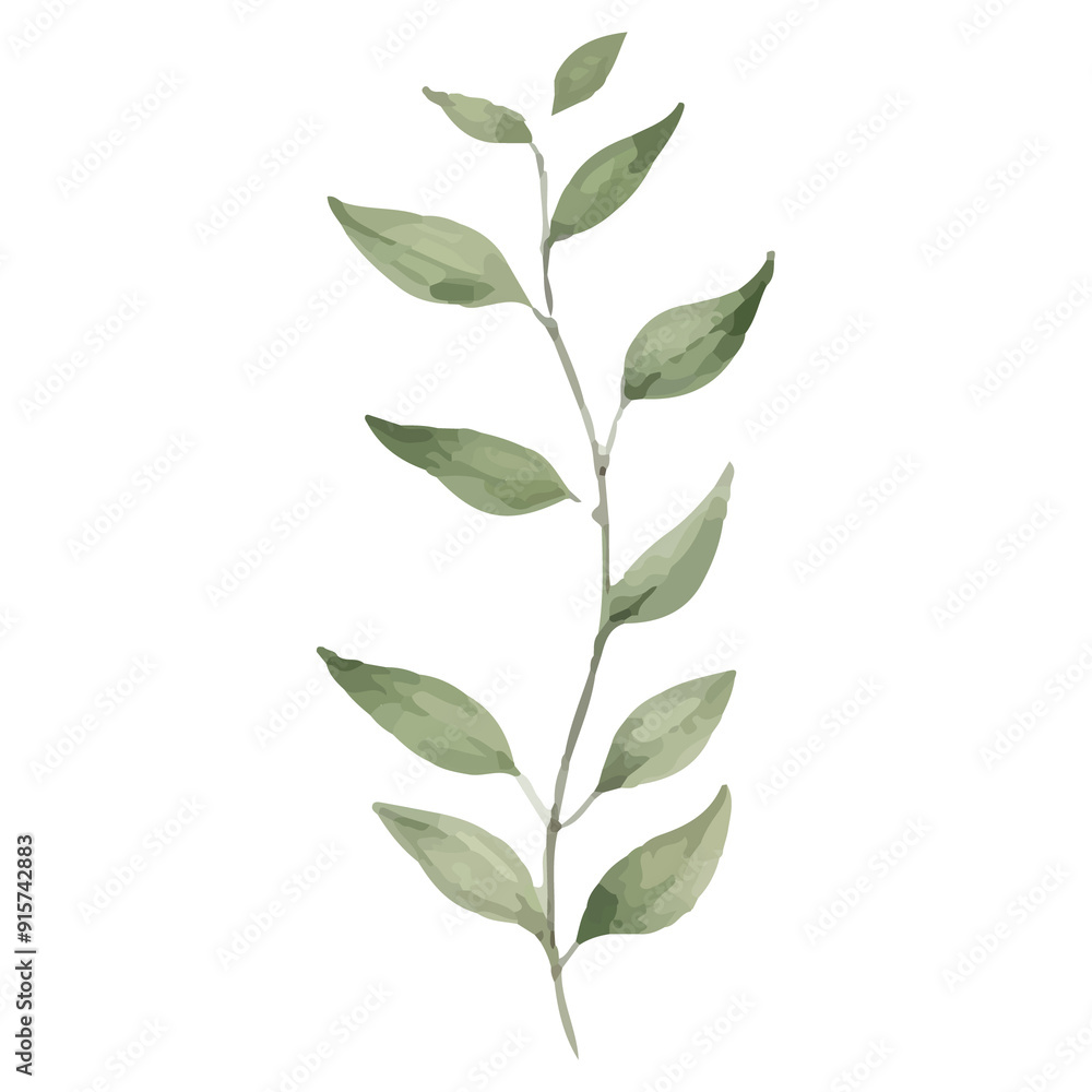 Watercolor illustration of a delicate green twig with leaves.