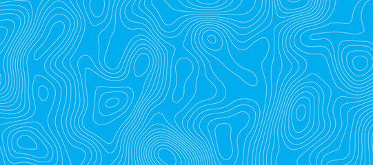 Wall Mural - Light blue luxury topographic lines map background .modern technology wave curve line contour map design .seamless geography grid vector illustration .