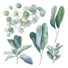 Wall Mural - Watercolor illustration of green leaves on white background.