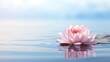 © Voilla - Beautiful lotus flower on the water with copy space for background