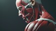© Alien - human body anatomy, muscle system 3d visualization medical and study