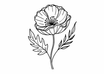 Wall Mural - continuous single line drawing of wild flower, corn poppy line art vector illustration