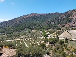 Wall Mural - Paraje Natural Tiscar, Jaén - 2023 - 5