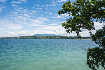 Wall Mural - le petit lac vu des parcs, Genève