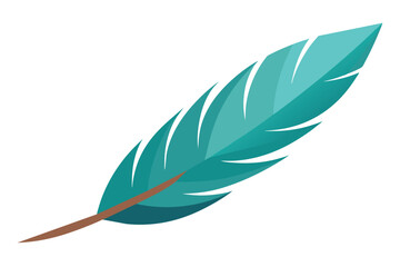 feather vector illustration