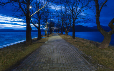 Canvas Print - lake in the park