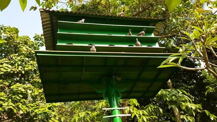 The Big Bird House in the city park, pigeon coop located in the garden
