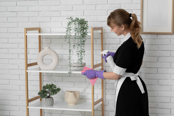 Canvas Print - Maid with rag and detergent cleaning rack in light living room