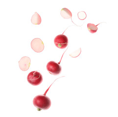 Wall Mural - Flying fresh radishes on white background