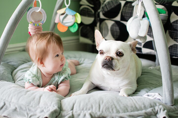 Baby and dog on the floor together. Babies and pets concept. Newborn baby girl with white French bulldog friendship. Cute pair