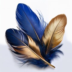 Set of Luxury Indigo Blue and golden bird feather isolated on white background. glow effect.	