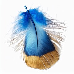 Set of Luxury Blue and golden bird feather isolated on white background. glow effect.